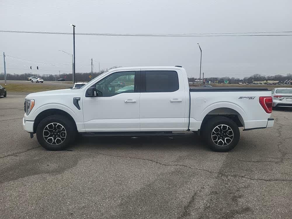 2023 FORD TRUCK F-150 XLT