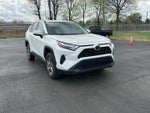 2024 TOYOTA TRUCK RAV4 XLE