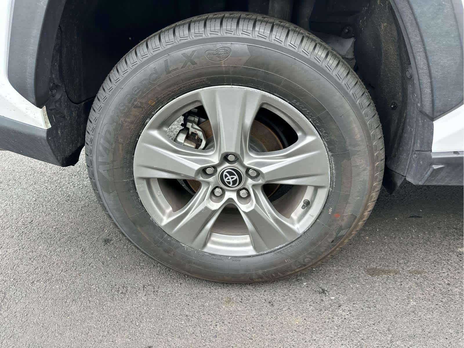 2025 TOYOTA TRUCK RAV4 HYBRID LE