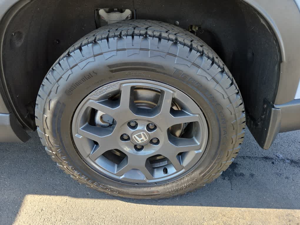 2023 Honda Pilot TrailSport